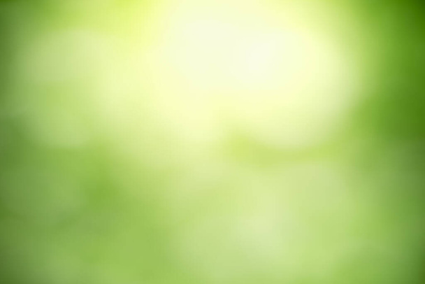 Abstract borrado para fora o foco da folha verde da natureza com bokeh sob a luz solar. Use para papel de parede ou fundo. - Foto, Imagem