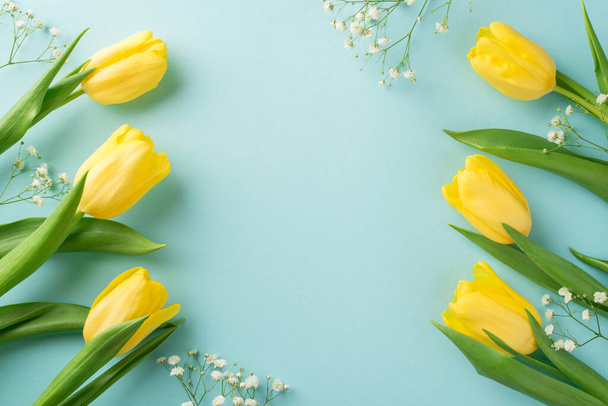 Top view photo of woman's day composition yellow tulips and white gypsophila on isolated pastel blue background with empty space in the middle - Фото, изображение