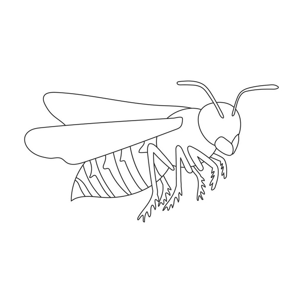 Wasp vector outline icon. Vector illustration insect wasp on white background. Isolated outline illustration icon of insect hornet. - Vektor, obrázek