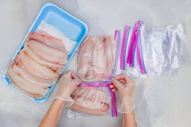 Mains de femme mettre filet de poisson frais Tilapia dans des sacs de fermeture éclair pour la congélation, vue rapprochée d'en haut - Photo, image