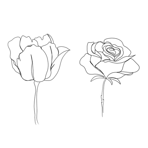 γραμμή τέχνη σχέδιο των λουλουδιών. σετ γραμμή τέχνη λουλούδι τουλίπα και τριαντάφυλλο. μινιμαλιστικό σκίτσο, ιδέα για πρόσκληση, σχεδιασμός ιστοριών Instagram και στιγμιότυπα - Φωτογραφία, εικόνα
