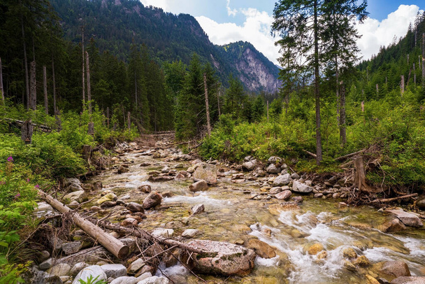 vista do córrego do rio cercado por árvores e pedras nas margens, colinas no fundo, Morskie Oko, Sea Eye, Tatra National Park, Polônia
 - Foto, Imagem