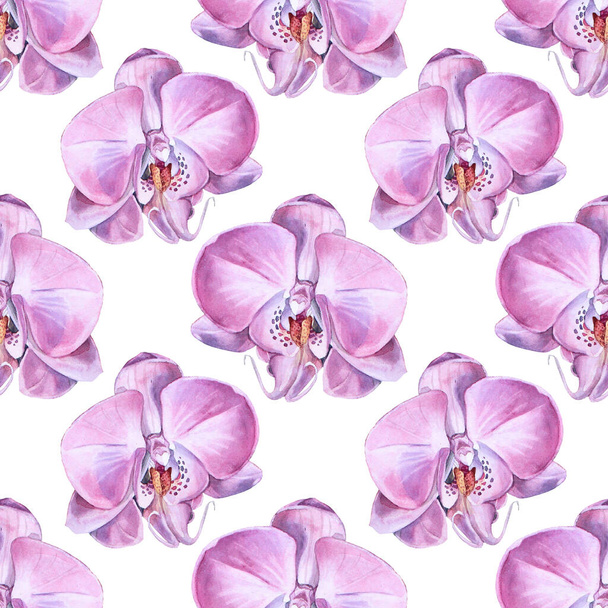 Bezešvé vzor akvarel růžová fialová orchidej květiny izolované na bílém pozadí. Tvůrčí příroda realistické domácí rostlina na svatbu, karty, tapety, textil, obaly, květinářství, oslavy - Fotografie, Obrázek