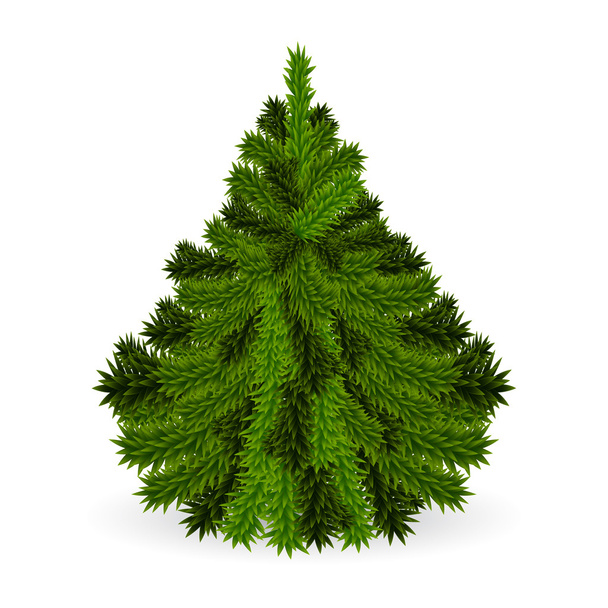 Χριστουγεννιάτικο δέντρο - Διάνυσμα, εικόνα