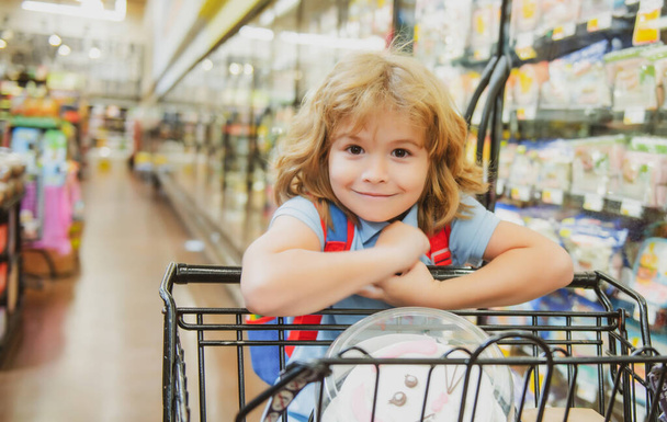 Cute child boy at grocery or supermarket with goods in shopping trolley. - Foto, Imagem