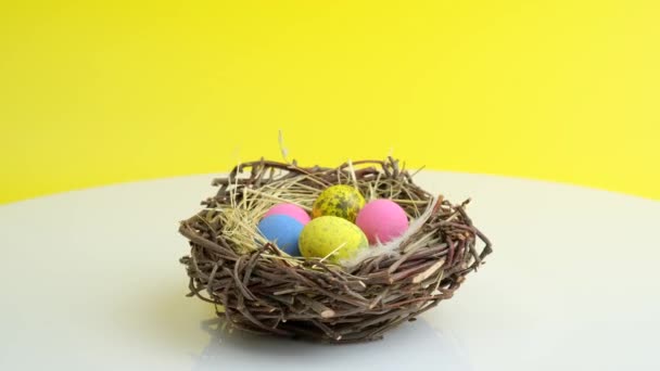 Rotação de ovos de Páscoa em ninho  - Filmagem, Vídeo