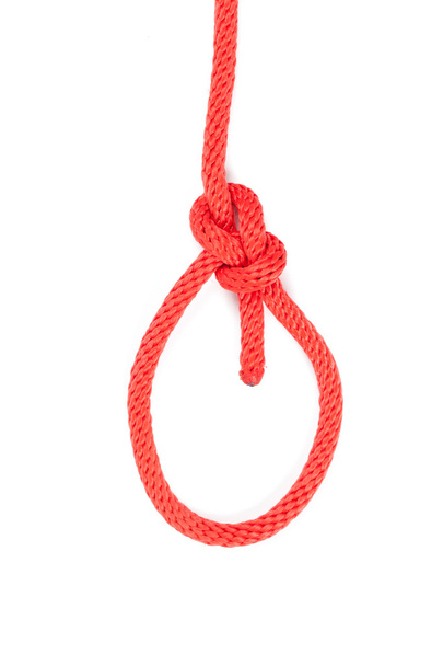 boowline knot - Фото, изображение