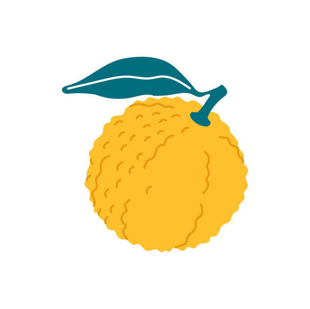 Japanese yuzu pomelo or junos yuya grapefruit isolated yellow fruit with leaf flat cartoon icon. Vector exotic tropical fruit dessert, farmer market design. Yuzu citrus, fresh whole Chinese pomelo - Vektör, Görsel