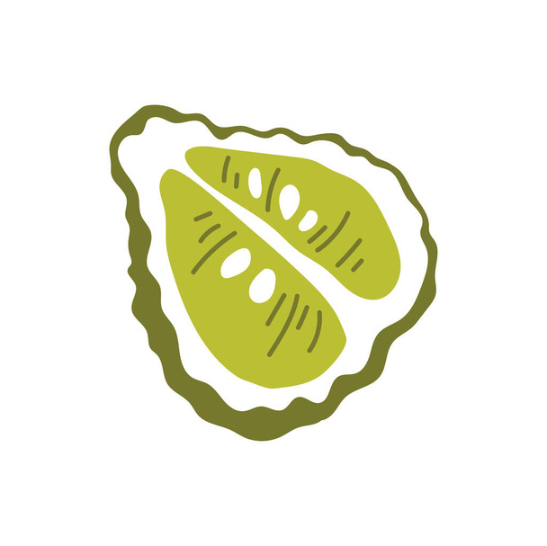 Green bergamot citrus fruit berry half cut isolated flat cartoon style icon. Vector kaffir summer rough lemon fruit, tropical exotic food. Juicy dessert, perfume cosmetics ingredient, vegetarian food - Vektör, Görsel