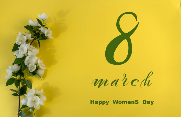 Dia Internacional da Mulher 8 de março! Flat Lay, banner, cartão de felicitações com flores de 8 de março, Flores brancas bonitas de Jasmim - Foto, Imagem