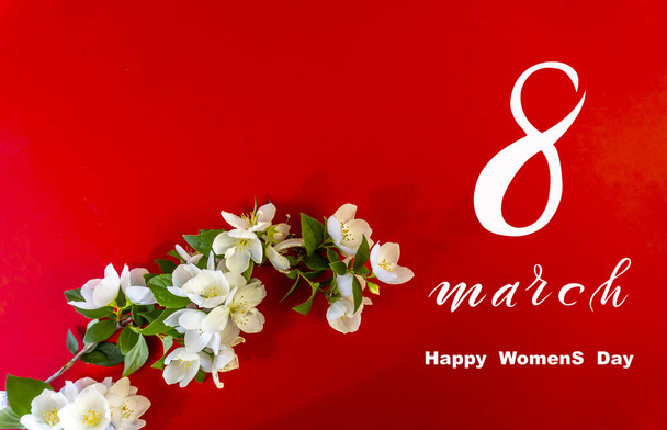 Día Internacional de la Mujer 8 de marzo! Flat Lay, pancarta, tarjeta de felicitación con flores a partir del 8 de marzo, hermosas flores de jazmín blanco - Foto, imagen