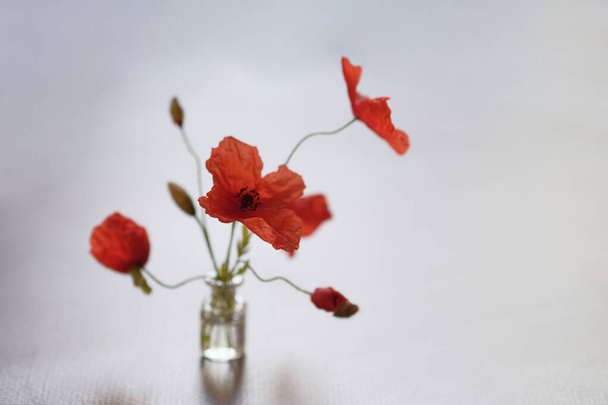 Bouquet of flowers. Red poppies are wild flowers. Glass bottle. - Foto, afbeelding
