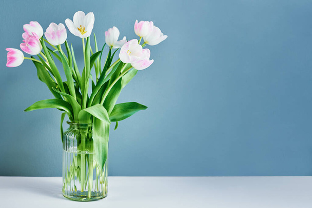 Pink tulips flowers in glass vase on blue background with copy space - Foto, afbeelding