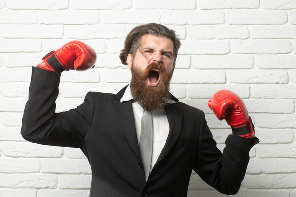 Crazy man boxing. Funny excited boxer businessman. Young man in a suit and boxing gloves, business winner. Furious funny bearded businessman. - Fotografie, Obrázek