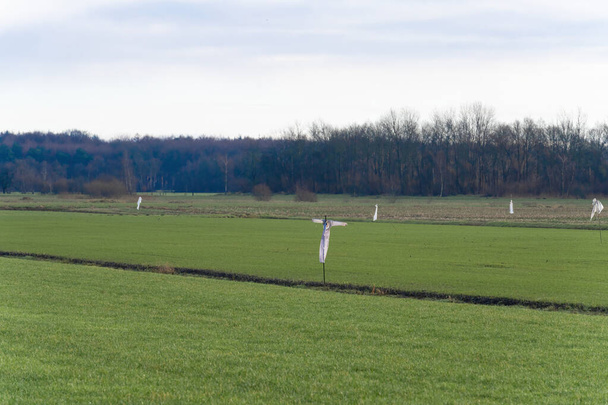 Um grupo de espantalhos de plástico branco no meio de um campo gramado, pasto, com um fundo de árvores. agricultores e jardineiros - Foto, Imagem
