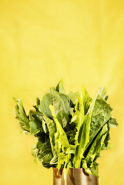 fresh green lettuce leaves on a yellow background. - Фото, изображение