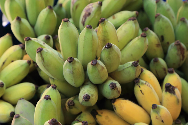 Primer plano de plátanos cultivados o racimo de plátanos tailandeses. - Foto, Imagen