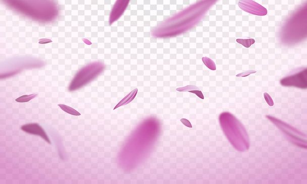 Fallende rosa Blütenblätter auf einem transparenten Hintergrund. Vektorillustration - Vektor, Bild