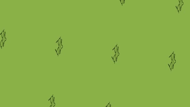 spinning swimsuit icon animation on green background - Felvétel, videó