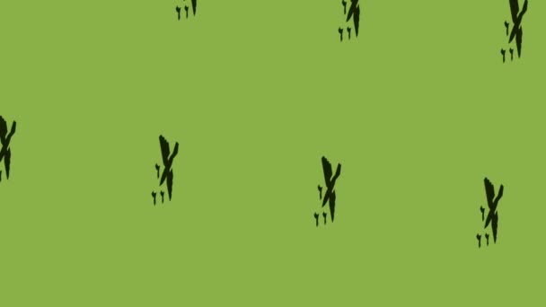 анимация иконок летающих птиц на зеленом фоне - Кадры, видео