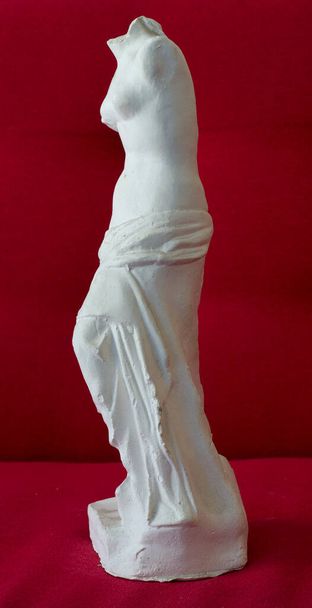 Female torso, plaster model, cast, object for drawing. The study of human anatomy. Model for drawing from nature. Drawing lessons, academic drawing. - Photo, Image