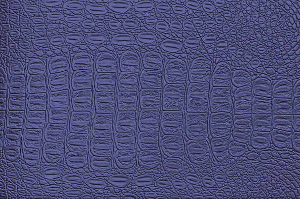 Modrá kožená textura krokodýla. Abstraktní pozadí pro design. - Fotografie, Obrázek
