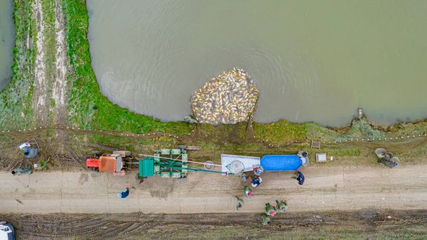 Above top view on equipment and mechanization with fishing scoop at commercial harvesting fish at farm, fishpond. - Photo, Image