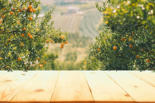 Prázdný dřevěný stůl s volným prostorem nad pomerančovníky, oranžové pole pozadí. Pro montáž zobrazení výrobku - Fotografie, Obrázek