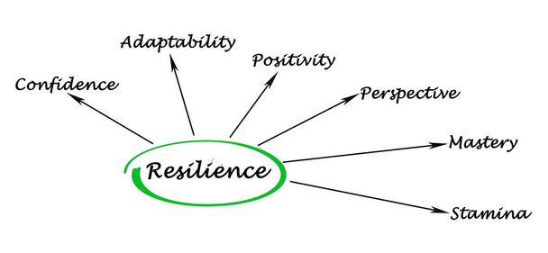 Six drivers of Resilience - Photo, Image