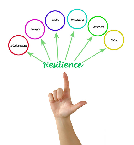 Presentar seis factores de resiliencia - Foto, imagen