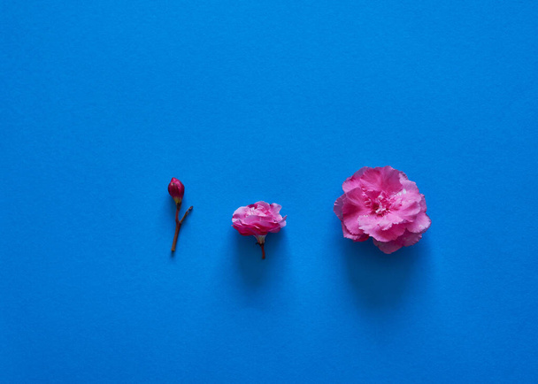 Menstruační cyklus krvácení ilustrované s květinami světlo až těžké - Fotografie, Obrázek