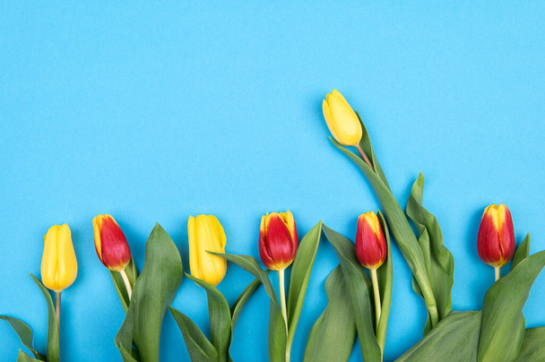 Πολύχρωμες τουλίπες άνοιξη λουλούδια σε μπλε φόντο για γενέθλια, Πάσχα, Ημέρα της Μητέρας και της Γυναίκας. - Φωτογραφία, εικόνα