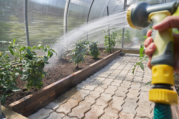 A close-up of a mans hand under pressure sprays an aqueous solution on a flower bed with plants in a greenhouse. Gardening concept - Photo, image