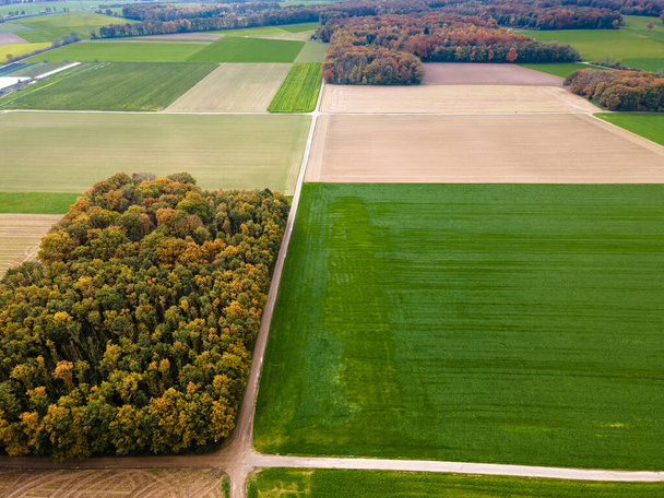 Aerial view of agricultural fields. fields at farmland. drone photo - Zdjęcie, obraz