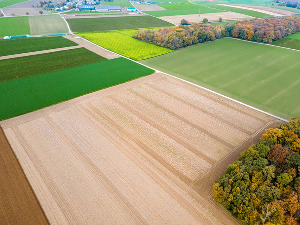  Αεροφωτογραφία βοσκοτόπων και αρόσιμης γης. Πανόραμα πάνω από υγιείς πράσινες καλλιέργειες σε βοσκότοπους patchwork καλλιεργήσιμες εκτάσεις - Φωτογραφία, εικόνα