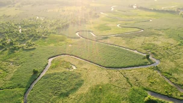 Spettacolare fiume tortuoso in lussureggianti zone umide verdi dalla vista a volo d'uccello. Girato in 4k, video drone. - Filmati, video