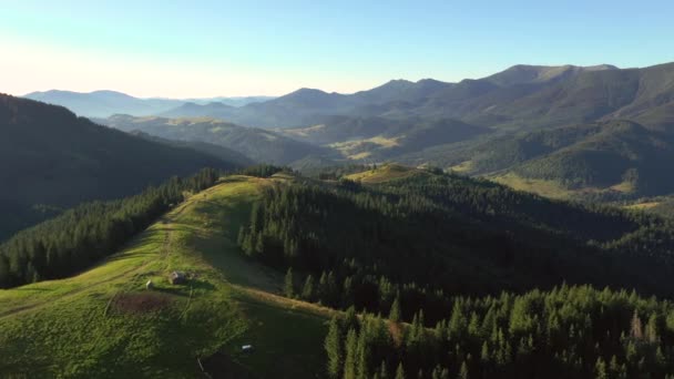 Malerisches Bergtal mit Almwiesen am Morgen. Gefilmt in 4k, Drohnenvideo. - Filmmaterial, Video