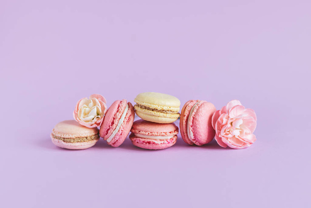 Tasty french macaroons with tender flower on a violet pastel background.  Place for text. - Fotoğraf, Görsel