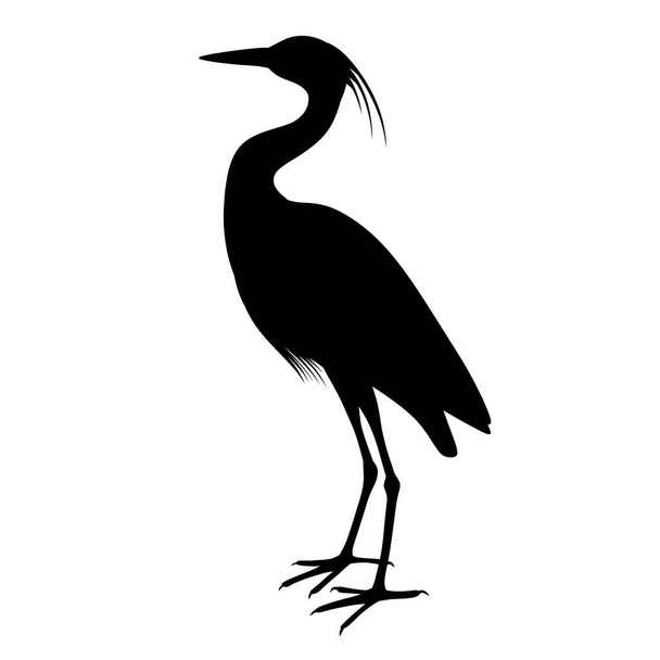 Black silhouette of a heron. A water bird. A relative of the stork and the crane. Illustration of an animal - Foto, imagen