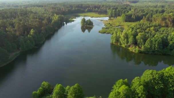 Adembenemend uitzicht op blauwe meren en groene bossen op een zonnige dag. Gefilmd in 4k, drone video. - Video