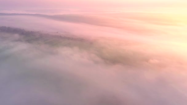 Беспилотник пролетал над густым утренним туманом, покрывающим сельскохозяйственные земли. Съемки в 4k, видео с дрона. - Кадры, видео