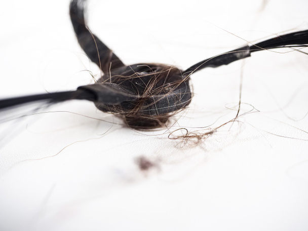 robot vacuum cleaner brush clogged with hair and dust - Photo, Image