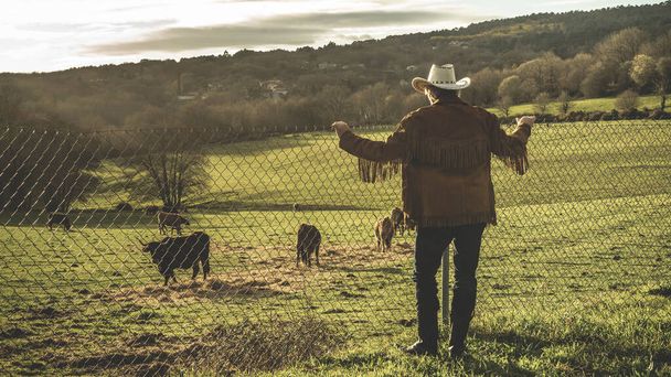Мужчина, одетый как ковбой с руками, лежащими на заборе, смотрит на скот - Фото, изображение