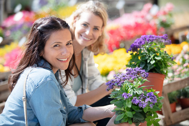 female friends buying flowers together - Φωτογραφία, εικόνα