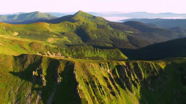 Malerischer Blick von der Drohne auf grüne Almwiesen an einem sonnigen Tag. 4k, Drohnenvideo gefilmt. - Filmmaterial, Video