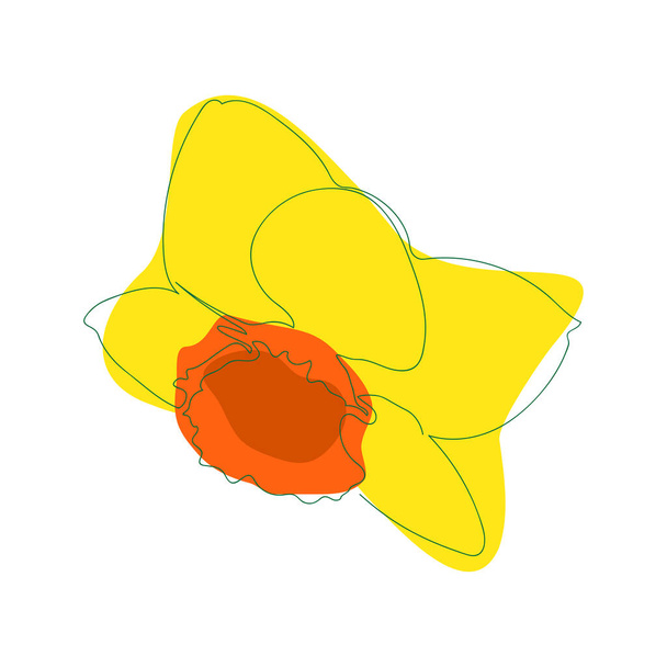 gele narcis bloem getekend met een solide continue lijn tegen een achtergrond van abstracte blobs van oranje. eenvoudige geïsoleerde vectorillustratie in doodle stijl. lineart - Vector, afbeelding