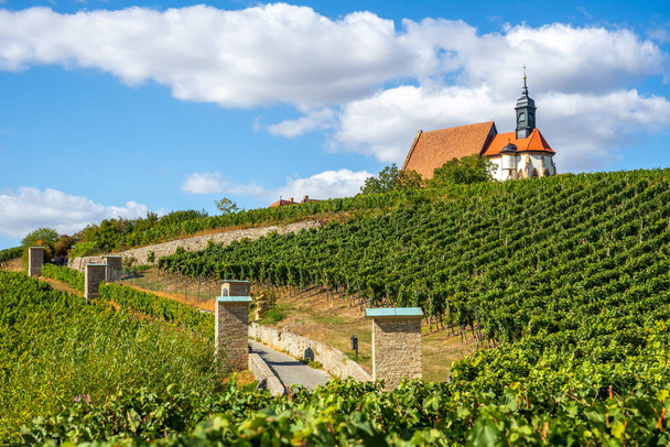 Historiallinen kirkko viinitarhoissa, Volkach, Saksa  - Valokuva, kuva