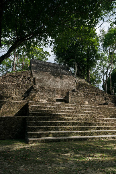 Піраміда майя "Cahal Pech" у тропічних джунглях, Сан-Іганасіо, Беліз - Фото, зображення