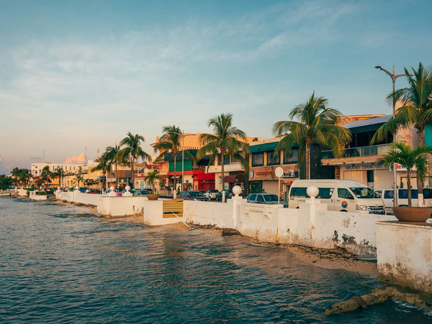 Palm trees and buildings along the water at sunset, in Cozumel, Mexico - 写真・画像