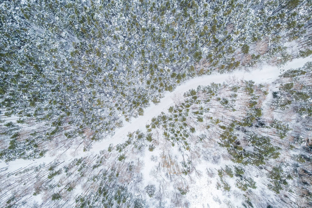 Aerial view of the road in the winter forest with high pine or spruce trees covered by snow. Driving in winter. Natural winter landscape from air. Forest under snow a the winter time. - Fotoğraf, Görsel